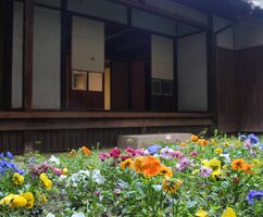 Colorful flowers in the garden of the former residence